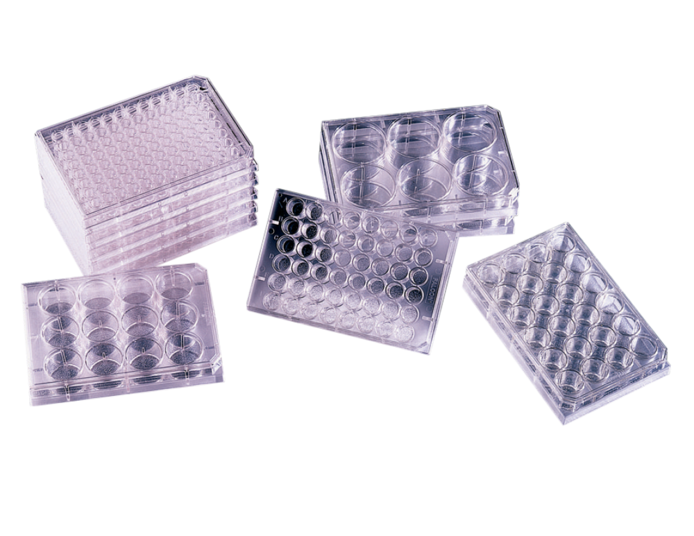Microtest Zellkulturplatten, 96 Vertiefungen, rund, 50 x 1 St. - Art. Nr. C3053