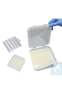 Blotting-Behälter  Midi Blots PVC 3er Set