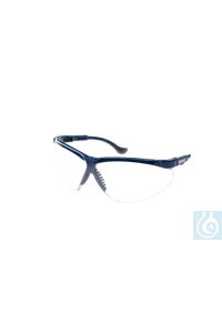 Schutzbrille Rahmen blau Scheibe TSR grau