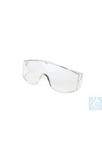 Ersatzgläser  Schutzbrille 2-4176 f