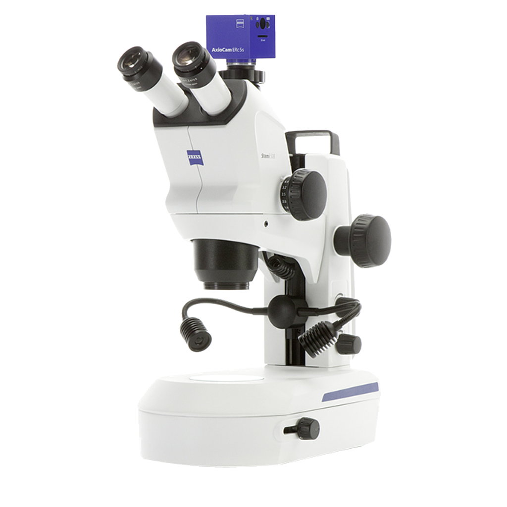 Mikroskop Stemi 508 mit Kameraanschluss - Art. Nr. 71014