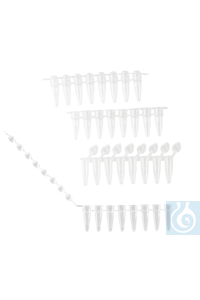 PCR 8er-Streifen 0,2 ml Normalprofil klar  gewölbt