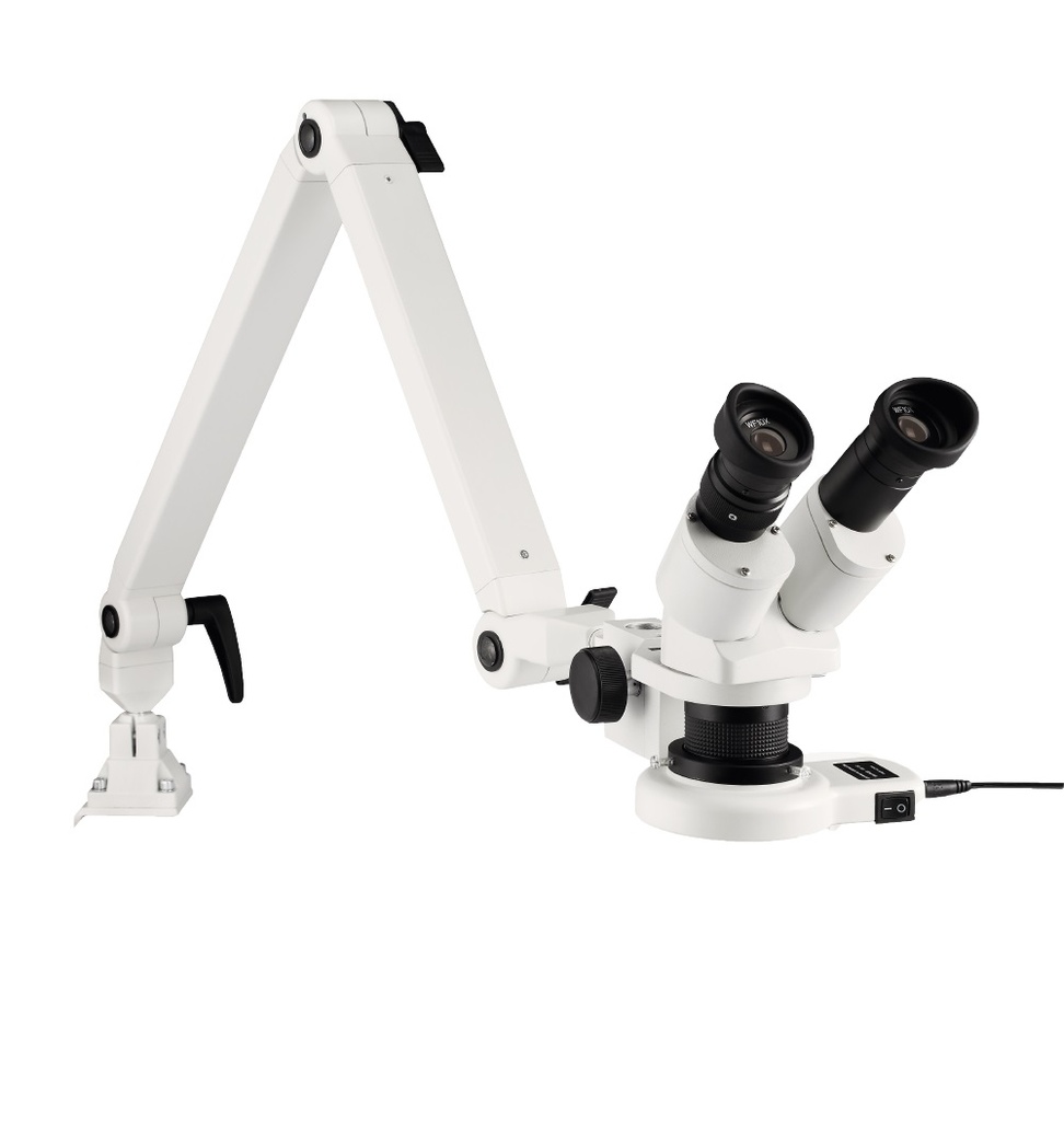 Stereo-Mikroskop mit Gelenkarm, Vergrößerung 10,0/20,0 - Art. Nr. 44400
