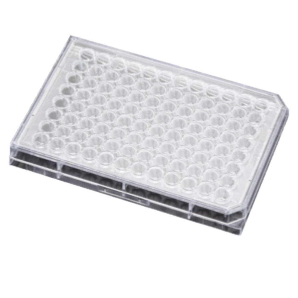 Microtest Zellkulturplatten 96 Vertiefungen rund 1